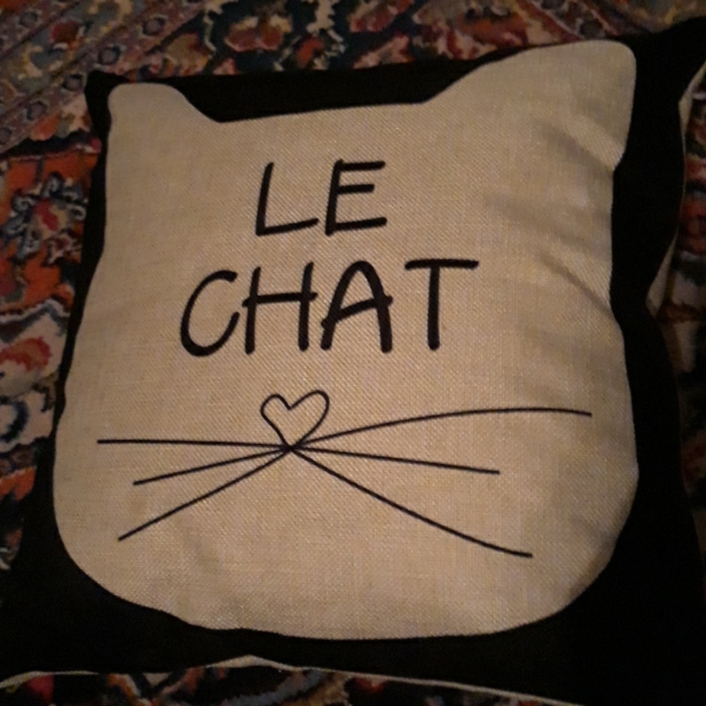 Le Chat throw pillow